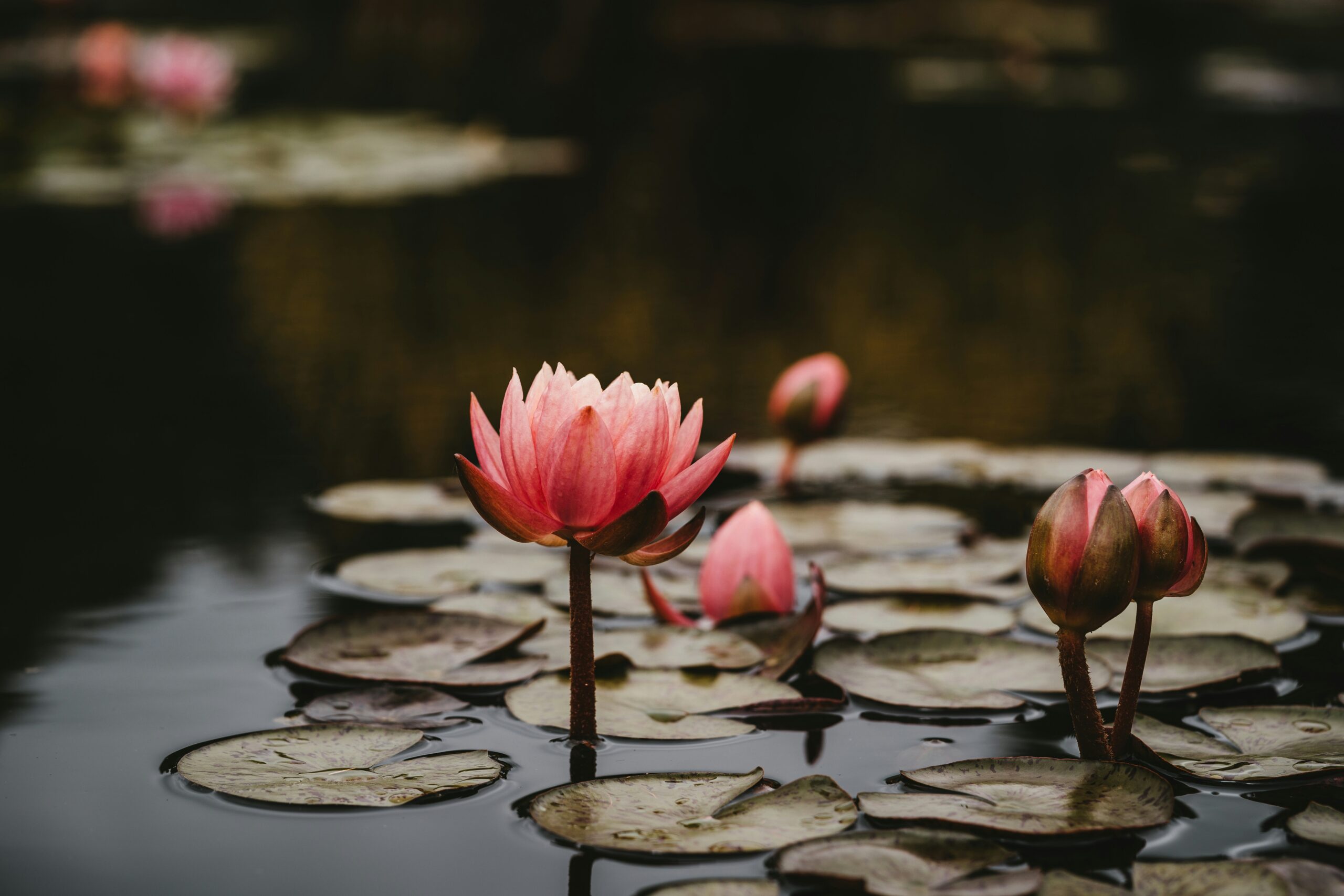 How Can We Improve Mental Health? 4 Simple Daily Habits That Actually Help